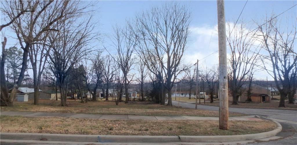 1041 Walnut Avenue, Osawatomie, KS 66064 Main Photo