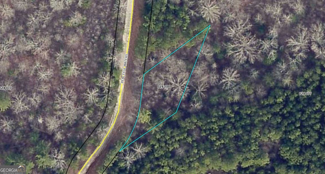 0 Peaceful Waters Lane, Demorest, GA 30535 Main Photo