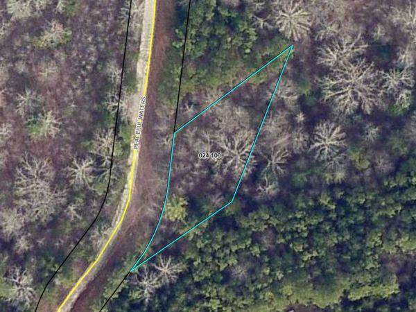 0 Peaceful Waters Lane, Demorest, GA 30535