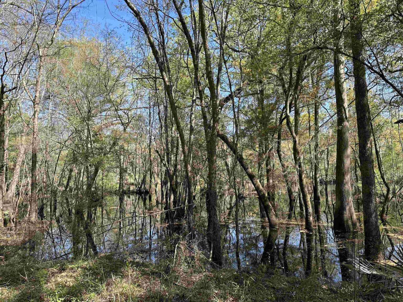 Lot 6 - Tbd Old Camp Ln. Photo 5