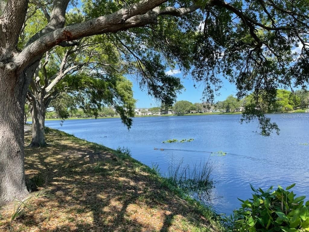 811 26th Avenue N, Saint Petersburg, FL 33704 Photo