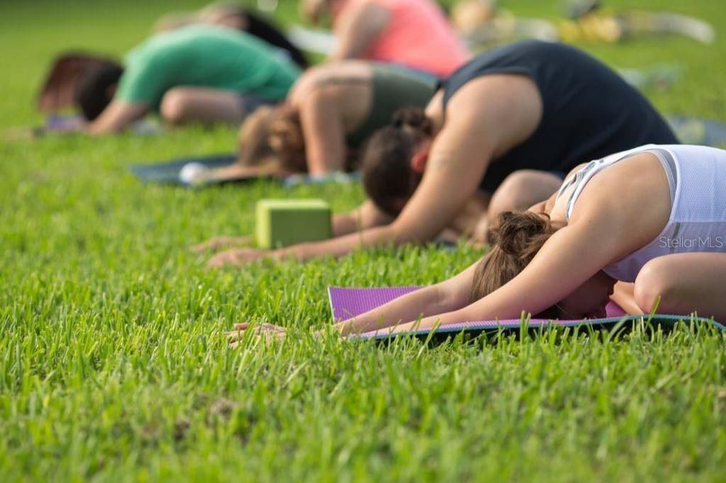 811 26th Avenue N, Saint Petersburg, FL 33704 Photo