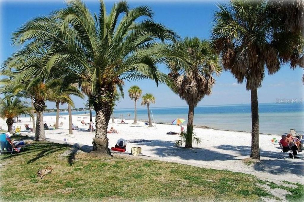 811 26th Avenue N, Saint Petersburg, FL 33704 Photo