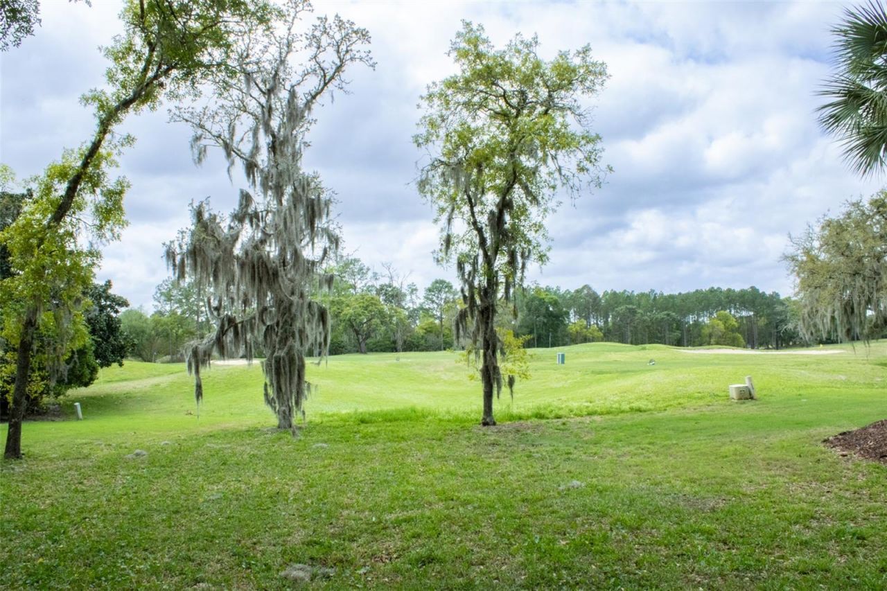 3030 W Bermuda Dunes Drive, Lecanto, FL 34461 Photo