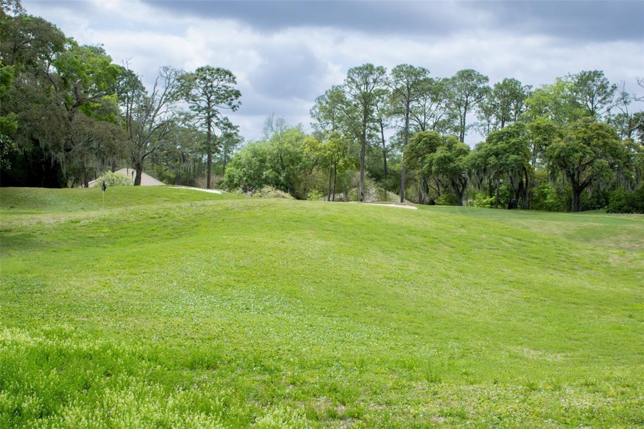 3030 W Bermuda Dunes Drive, Lecanto, FL 34461 Photo