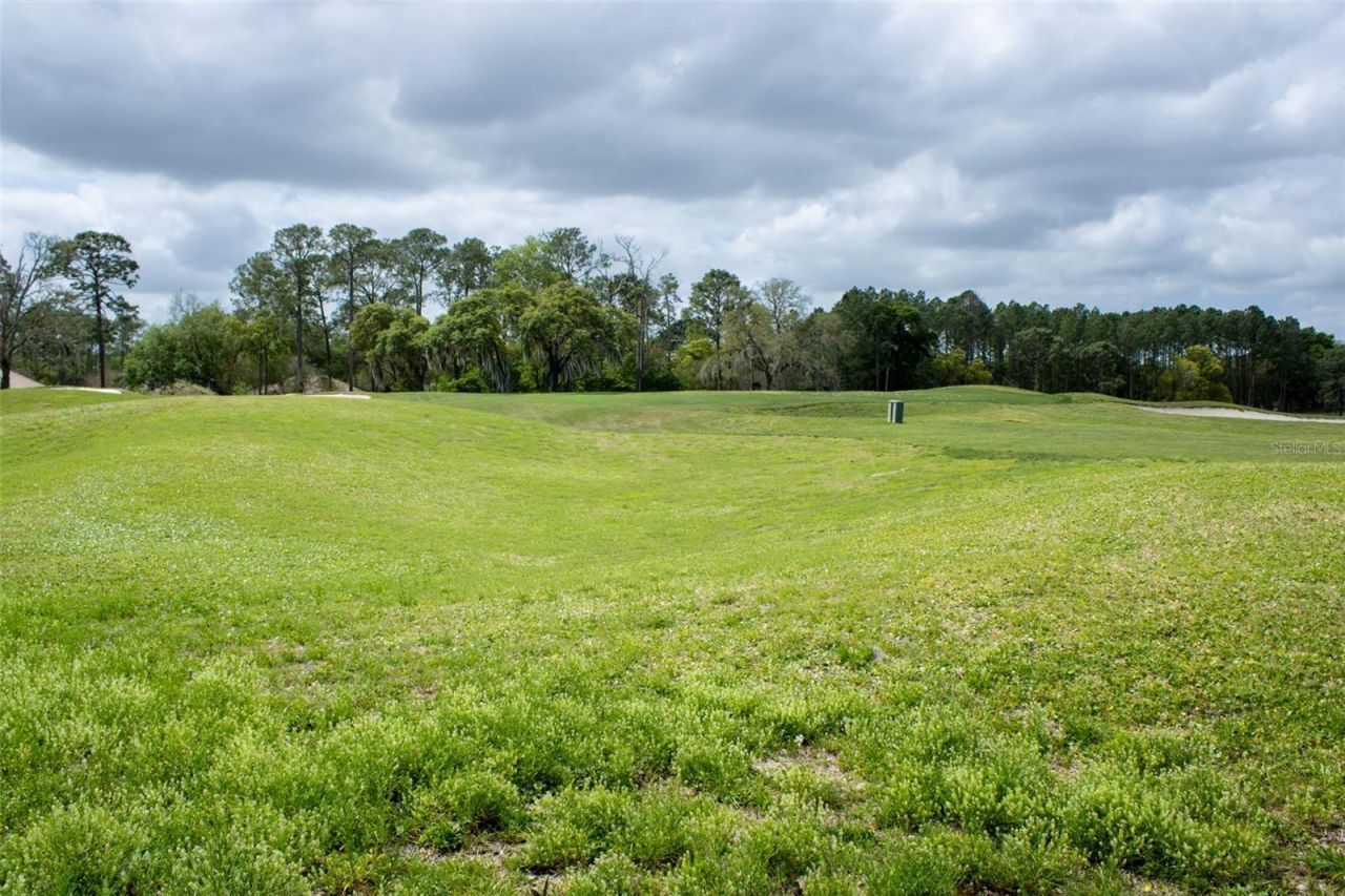 3030 W Bermuda Dunes Drive, Lecanto, FL 34461 Photo