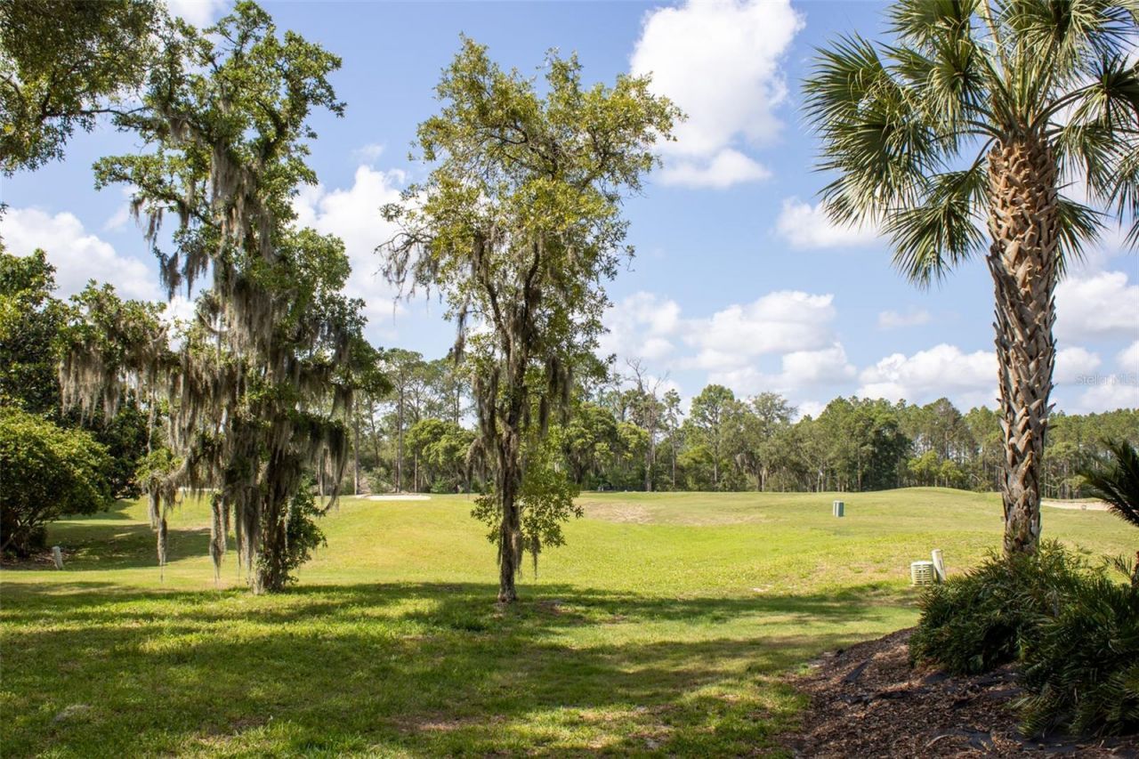 3030 W Bermuda Dunes Drive, Lecanto, FL 34461 Photo