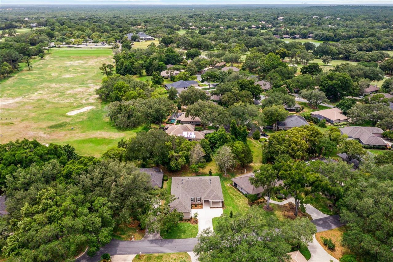 3030 W Bermuda Dunes Drive, Lecanto, FL 34461 Photo