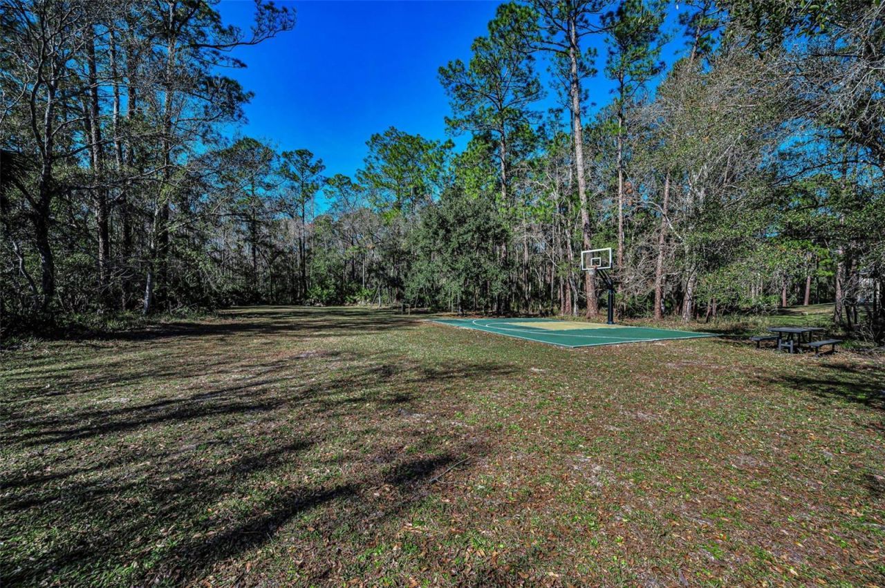 10709 Watula Court, New Port Richey, FL 34655 Photo