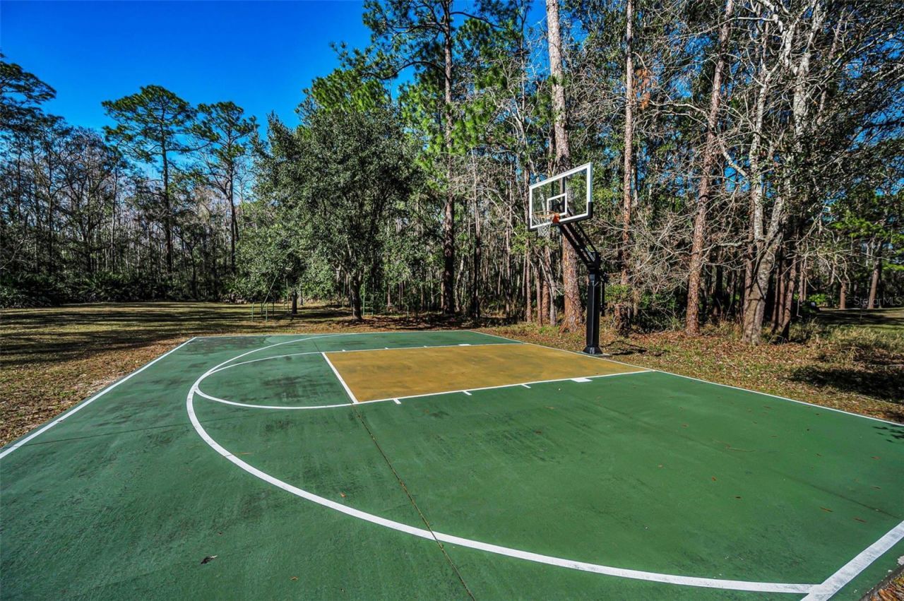 10709 Watula Court, New Port Richey, FL 34655 Photo