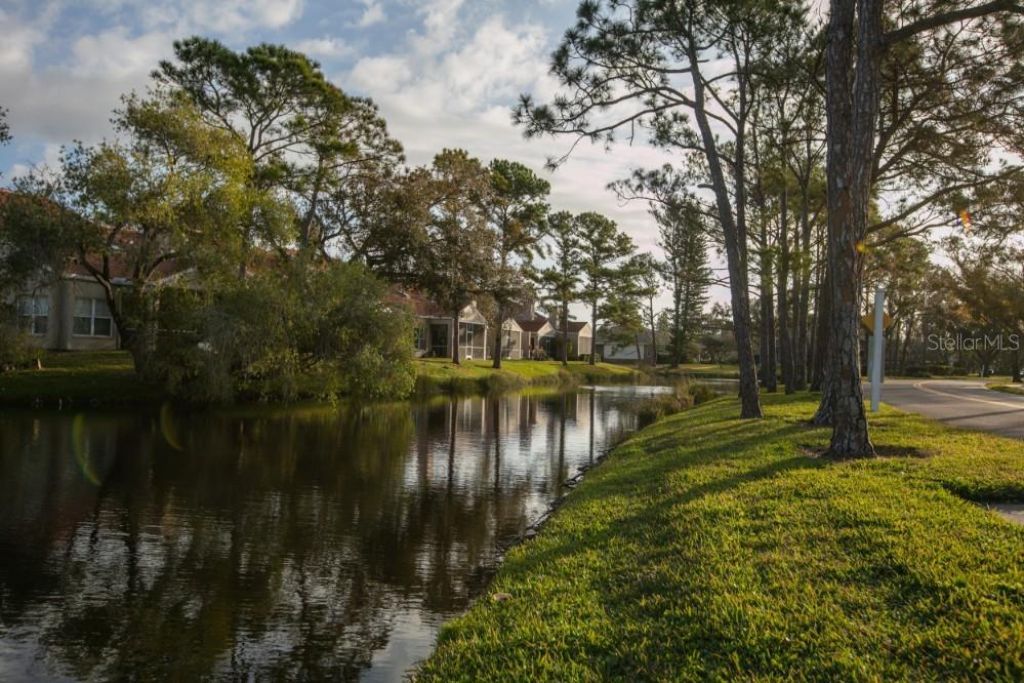 4690 Laurel Oak Lane Ne, Saint Petersburg, FL 33703 Photo