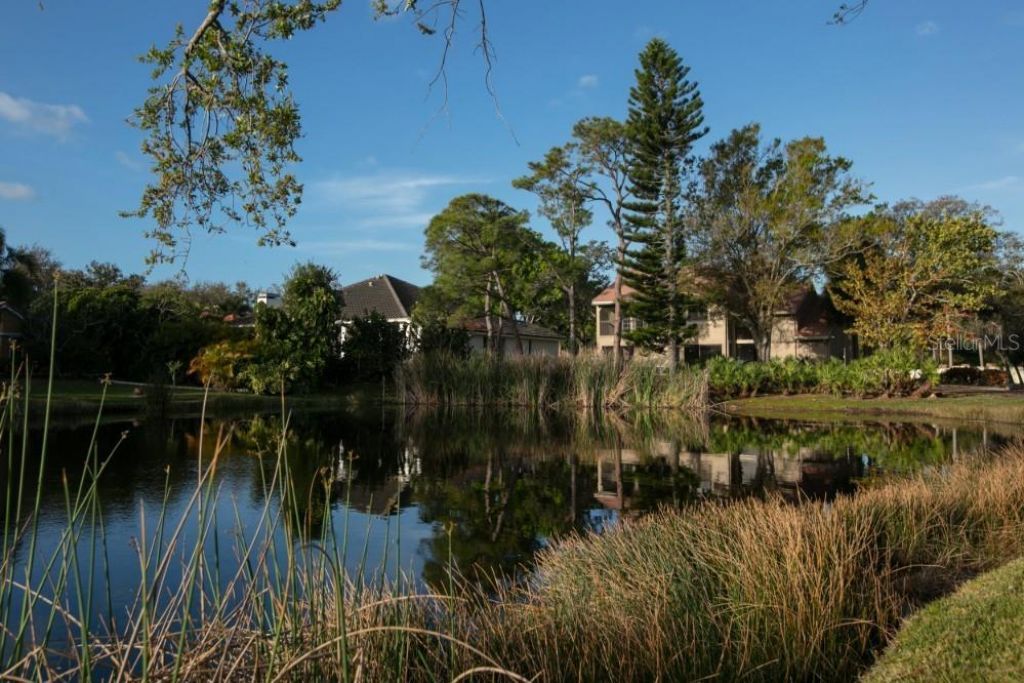 4690 Laurel Oak Lane Ne, Saint Petersburg, FL 33703 Photo