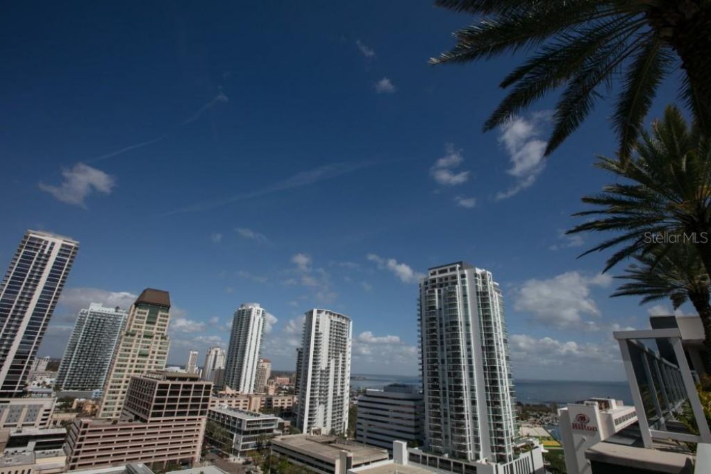 4690 Laurel Oak Lane Ne, Saint Petersburg, FL 33703 Photo