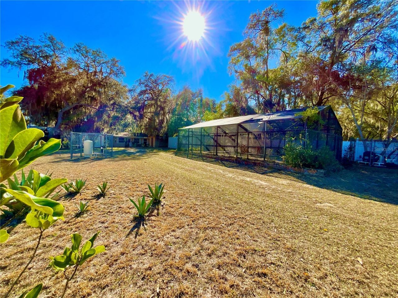 111 2nd Street, Melrose, FL 32666 Photo