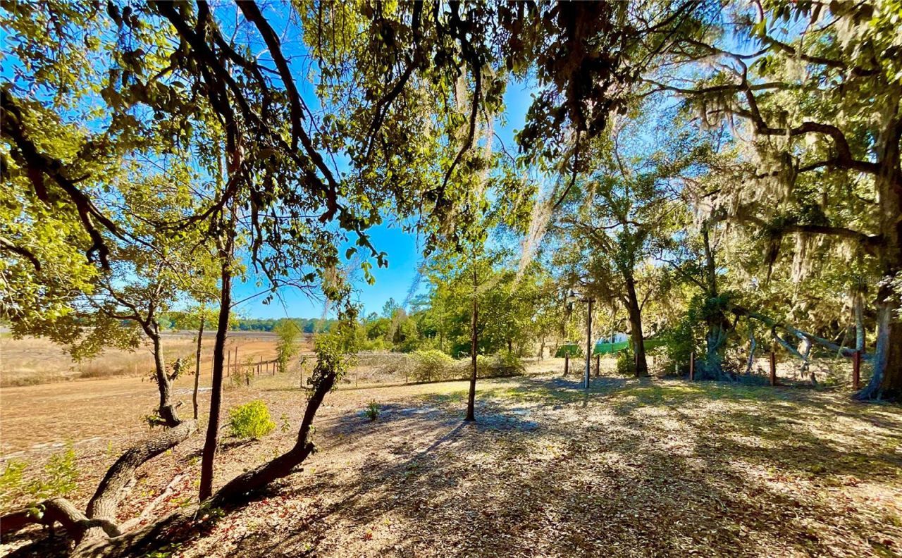 111 2nd Street, Melrose, FL 32666 Photo