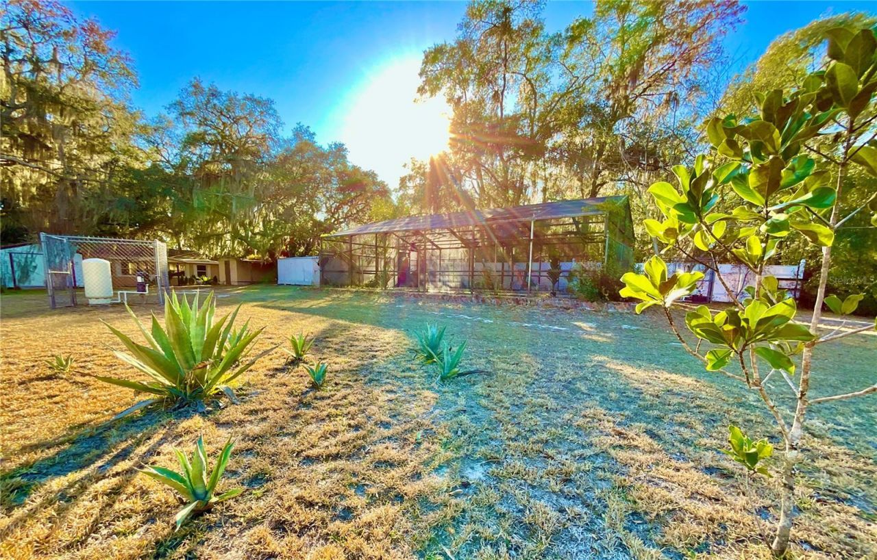 111 2nd Street, Melrose, FL 32666 Photo