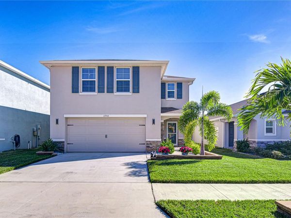 11906 DOWNY BIRCH DRIVE, RIVERVIEW, FL 33569