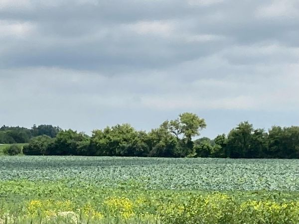 Lt0 US Highway 41 -, Mount Pleasant, WI 53177