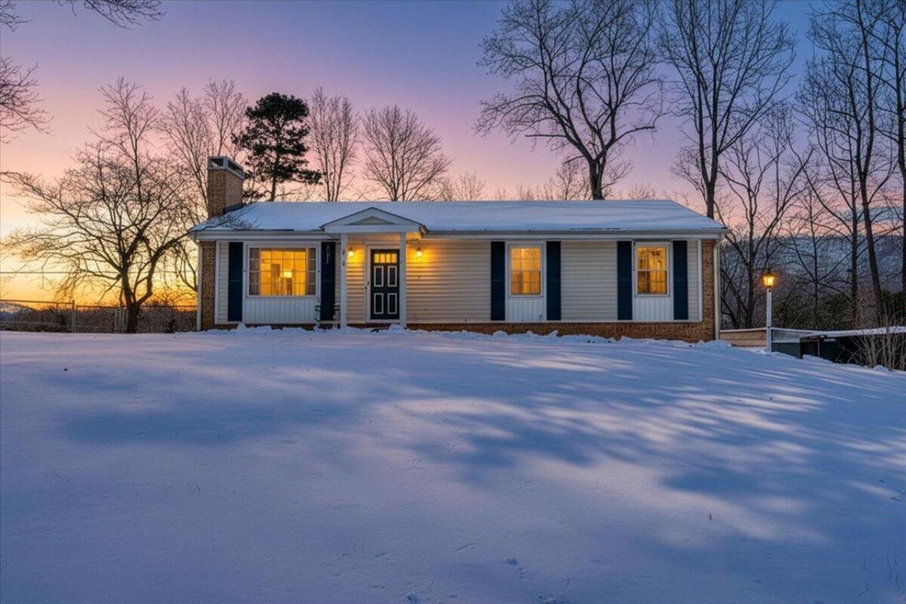 135 Silverbirch Dr, Blue Ridge, VA 24064 Main Photo