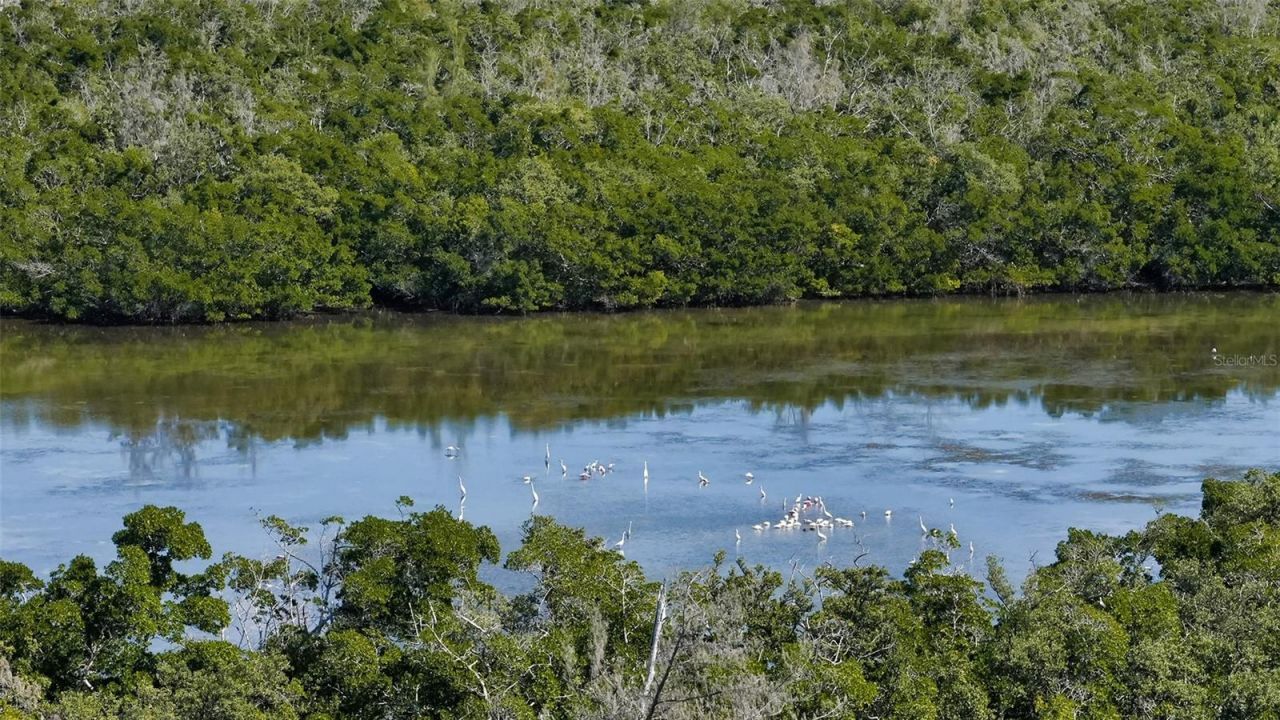 1750 Benjamin Franklin Drive, Unit PH-F, Sarasota, FL 34236 Photo