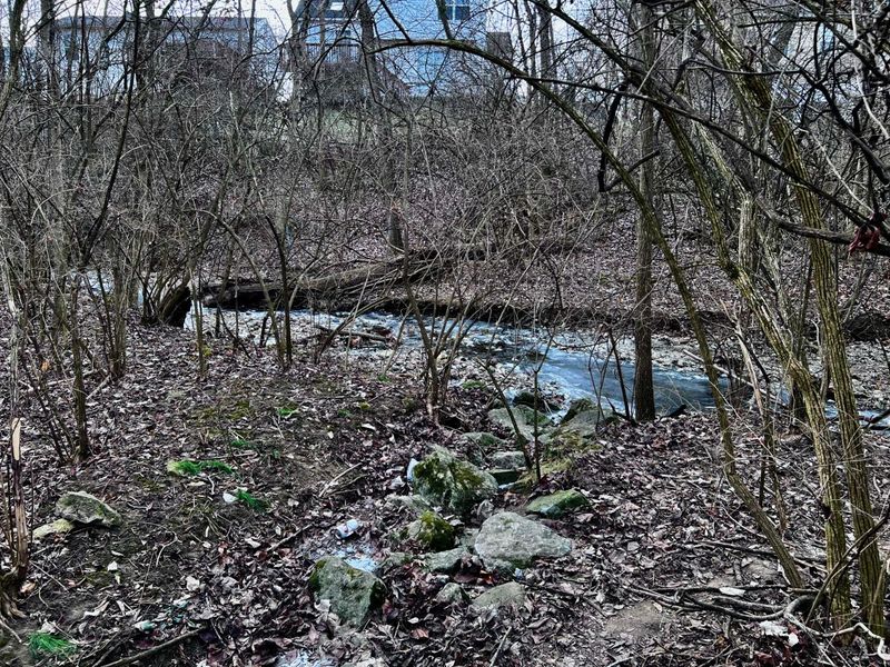 2975 Crocker Run Road, Grove City, OH 43123 Photo 52