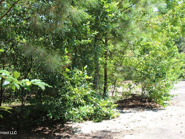 15.4 Acres Lloyd Eubanks Road, Lucedale, MS 39452
