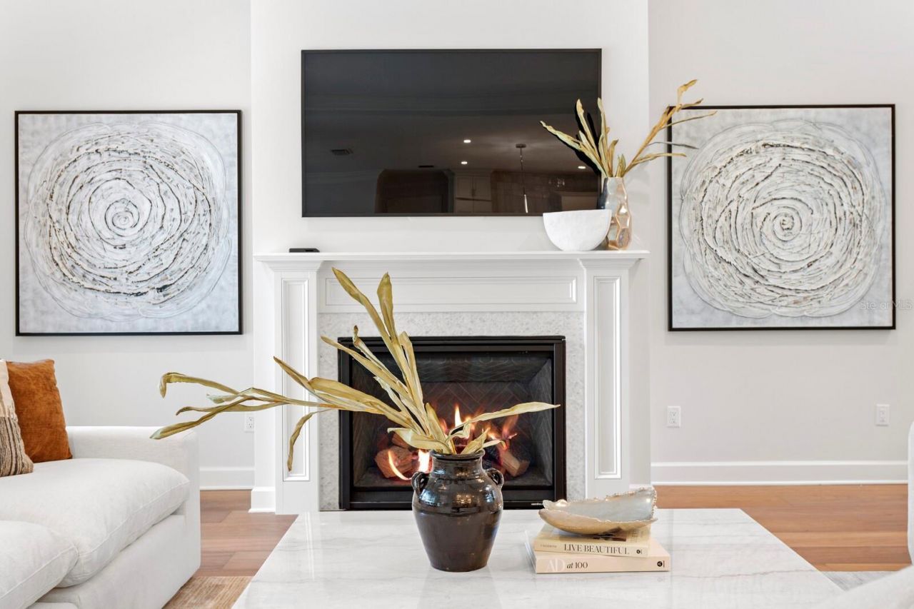 4536 W Swann Avenue, Tampa, FL 33609 Photo