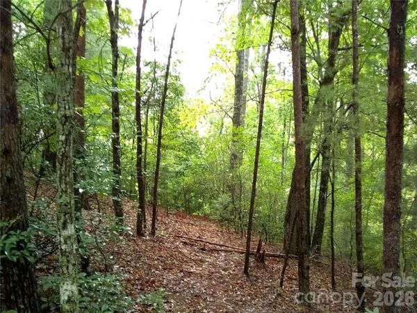 0 Hilltop None , Lake Lure, NC 28746