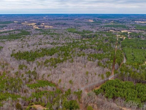 Lot 1 PINEY GREEN RD, CREWE, VA 23930