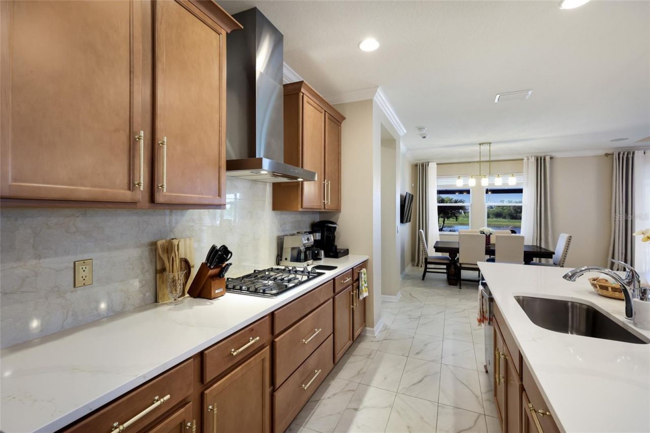 17615 Savory Mist Circle, Bradenton, FL 34211 Photo