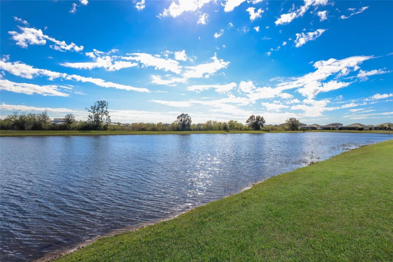 17615 Savory Mist Circle, Bradenton, FL 34211 Photo