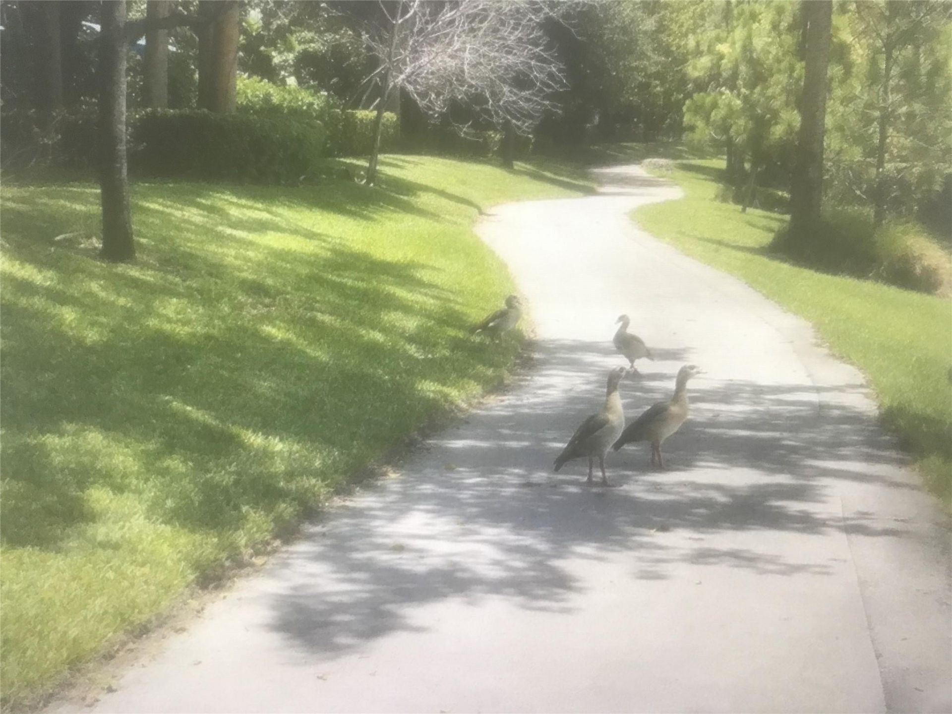 Please Call For Address, Hollywood, FL 33021 Photo