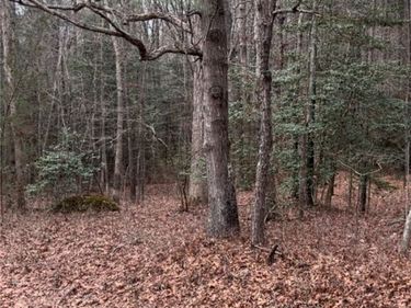 0 S Crater Road, Prince George, VA 23803