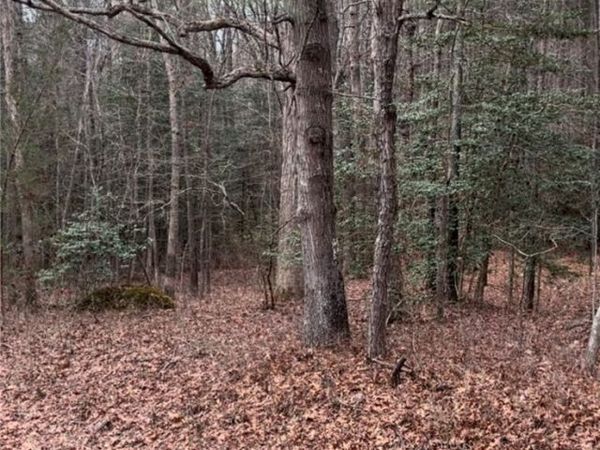 0 S Crater Road, Petersburg, VA 23803