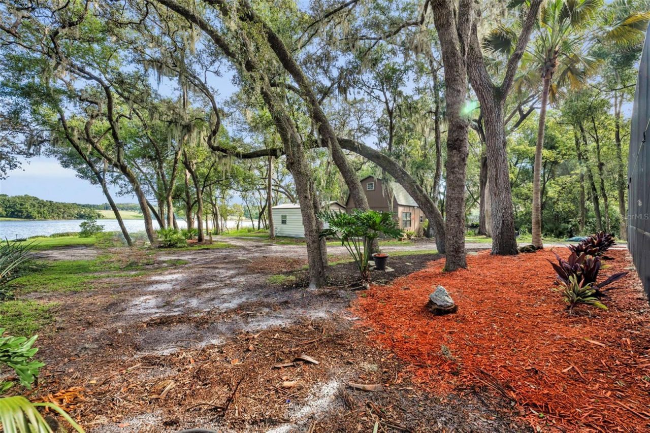 5833 Maggiore Trail, Zellwood, FL 32798 Photo