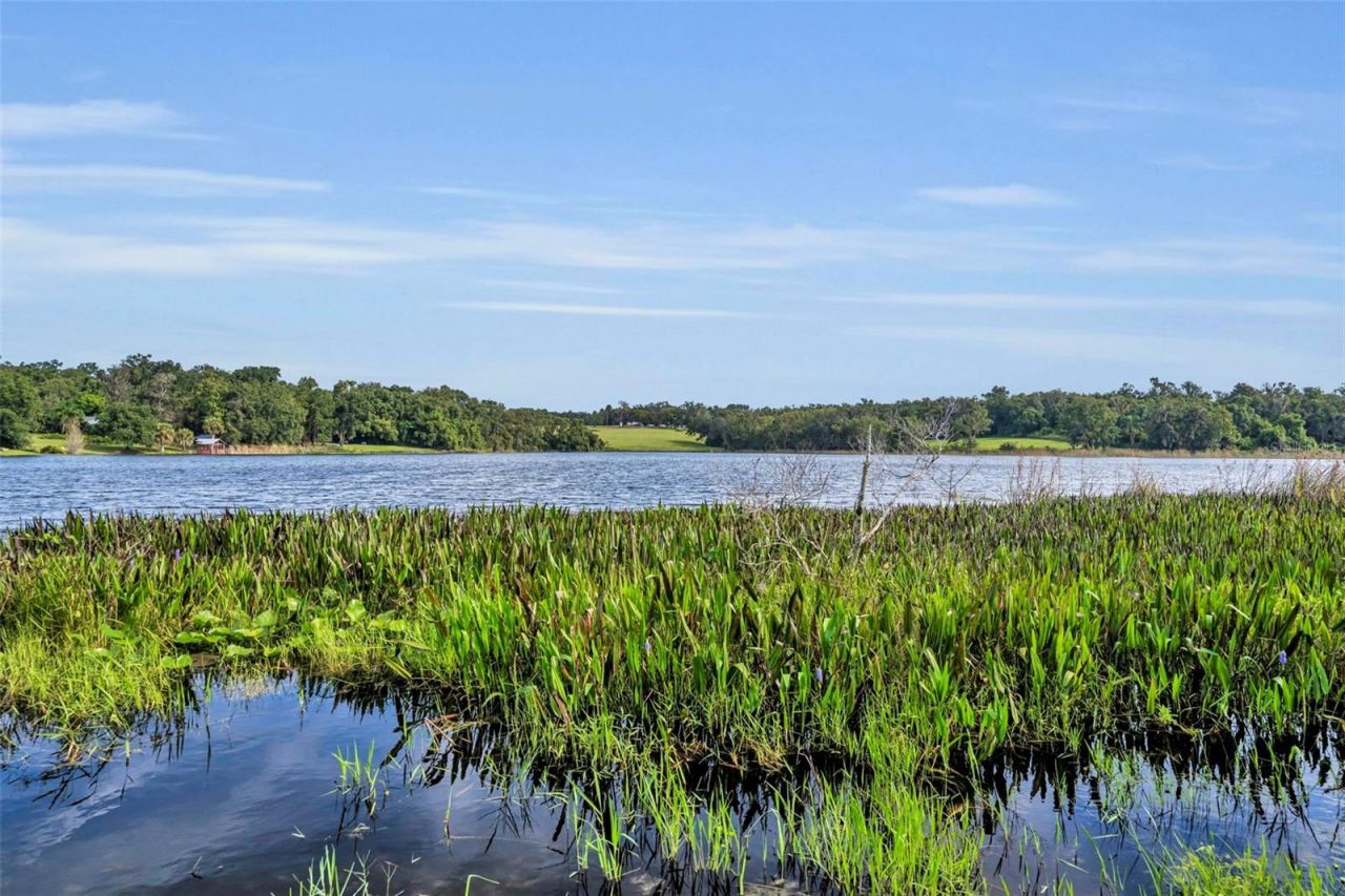 5833 Maggiore Trail, Zellwood, FL 32798 Photo