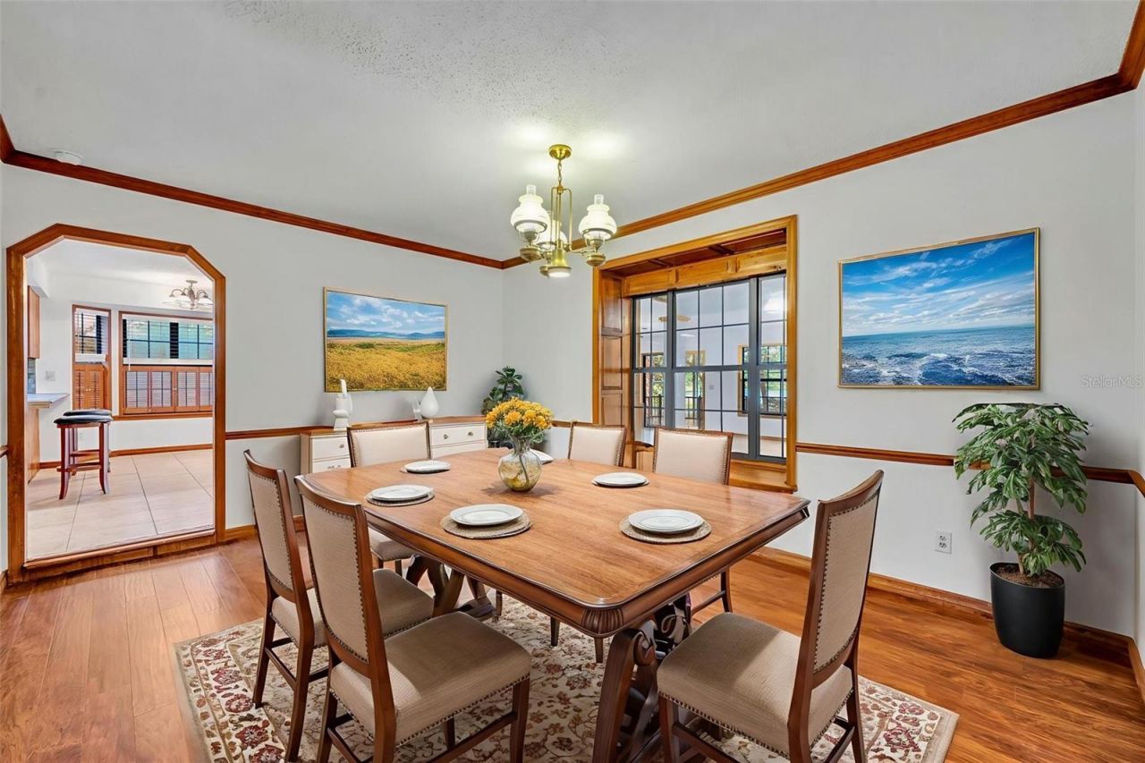 5833 Maggiore Trail, Zellwood, FL 32798 Photo