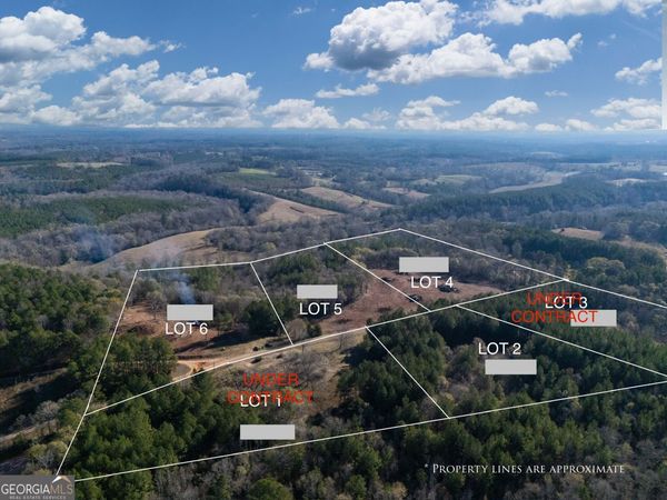 0 County Road 432 LOT 4, Unit L4, Woodland, AL 36280
