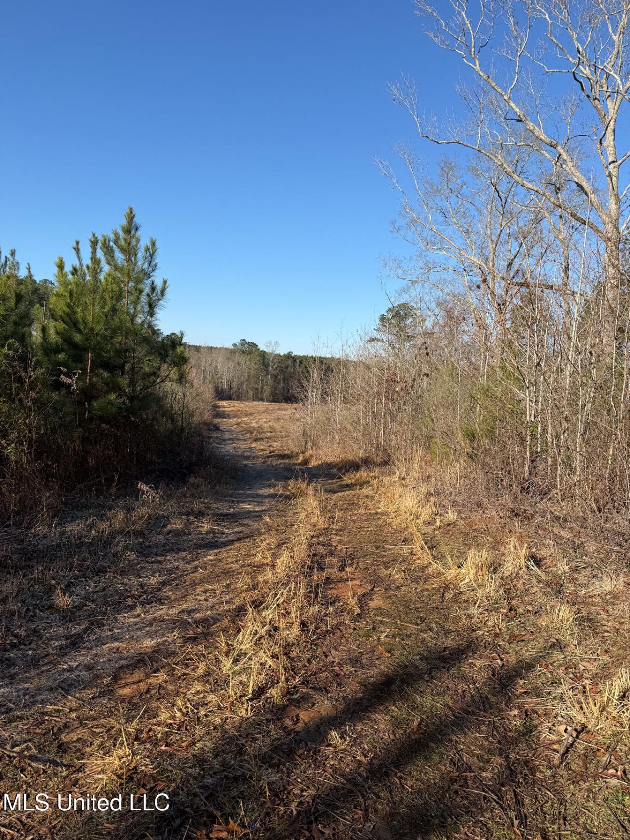 5547 Rocky Point Road, Carthage, MS 39051 Main Photo