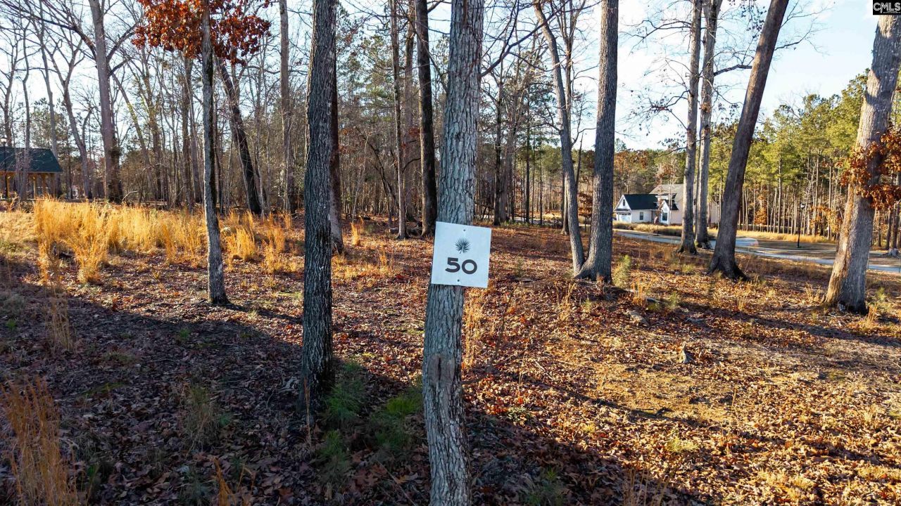 Lot 50 Shoreview Drive  Photo 4