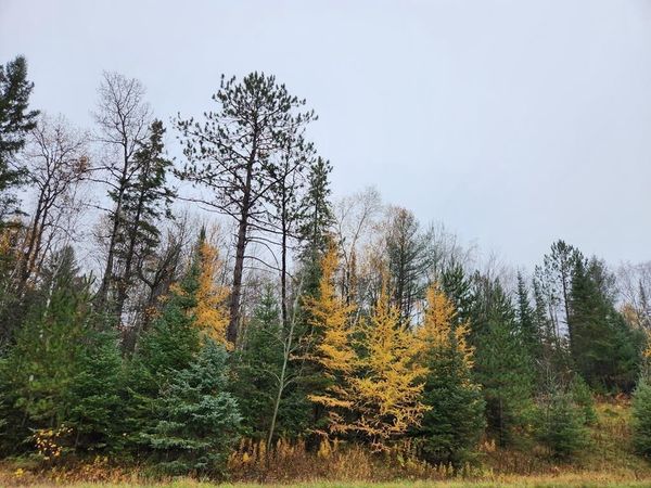 STATE HIGHWAY 86, Unit Prt of SW-, Ogema, WI 54490