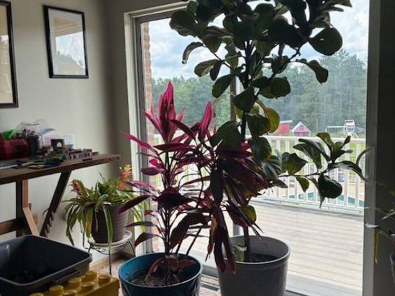 590 Stony Run Road, Beverly, OH 45715 Photo 21