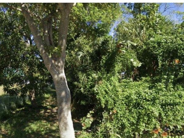 619 14th Street, West Palm Beach, FL 33401