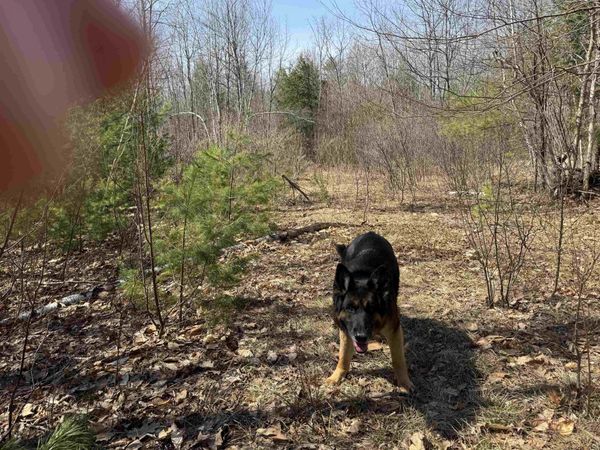 0 White Mountain Highway, Wakefield, NH 03872