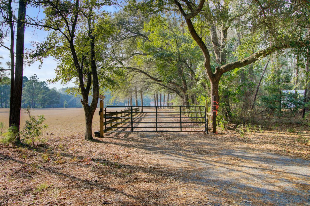 130 Cypress Hill Lane Photo 33