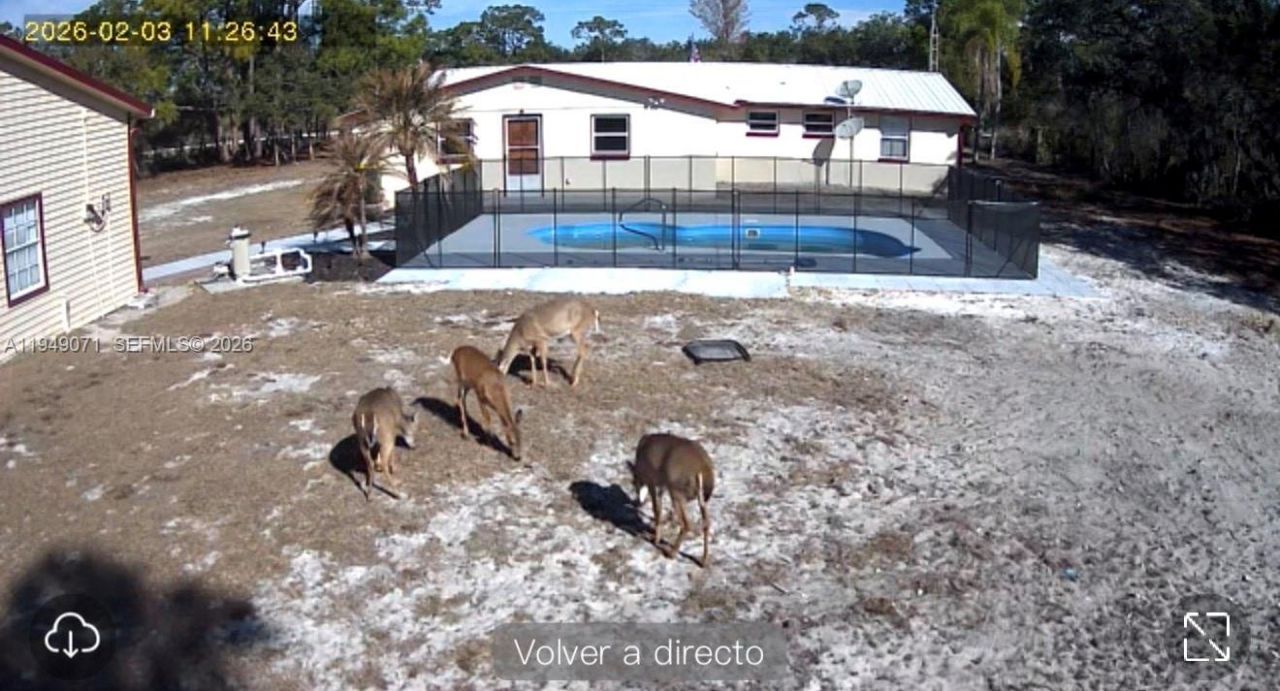 3709 Grand Concuorse, Sebring, FL 33875 Photo