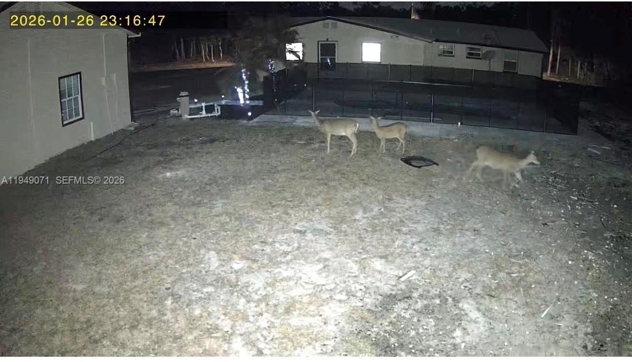 3709 Grand Concuorse, Sebring, FL 33875 Photo