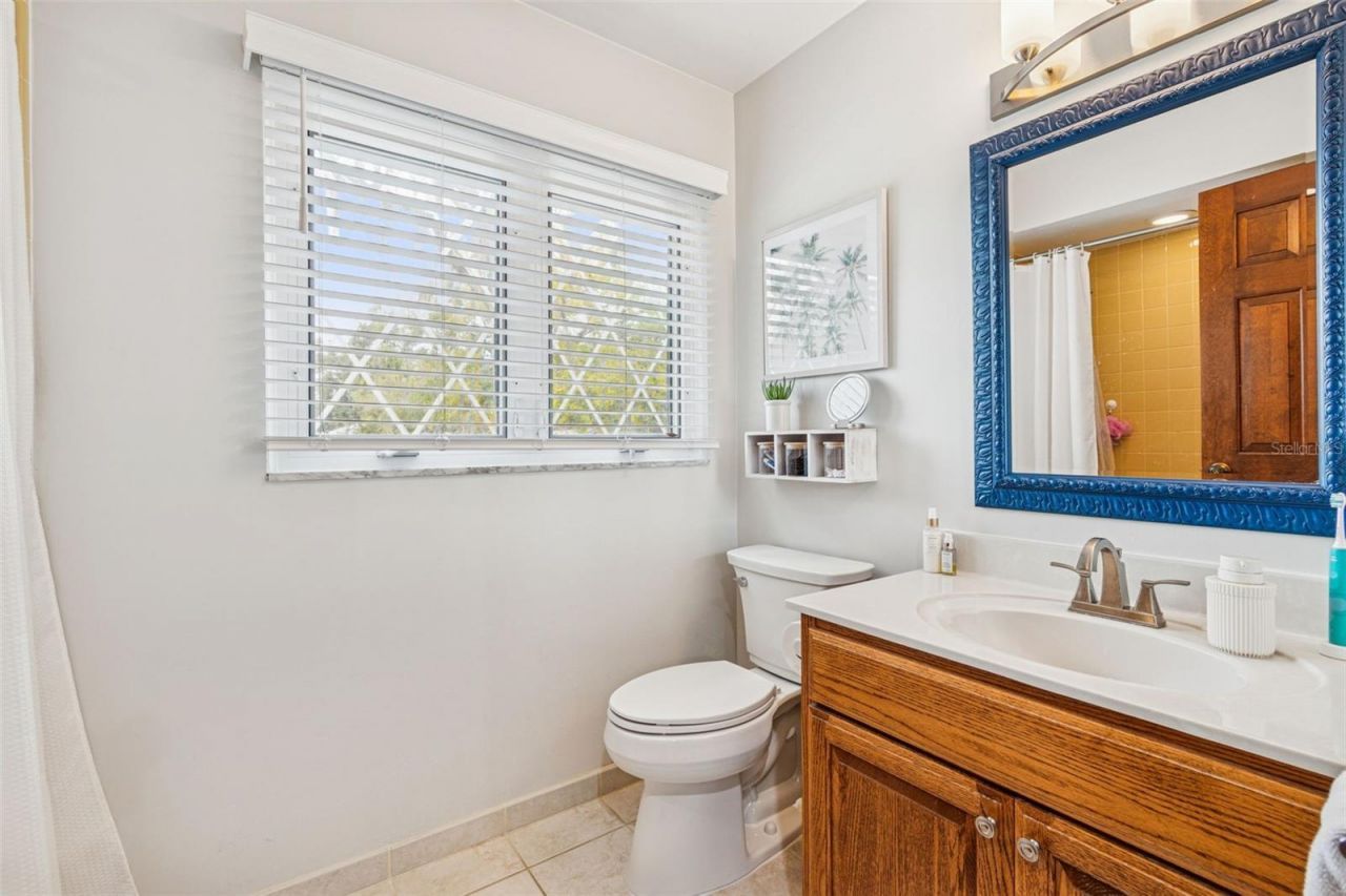 11713 Phoenix Circle, Tampa, FL 33618 Photo