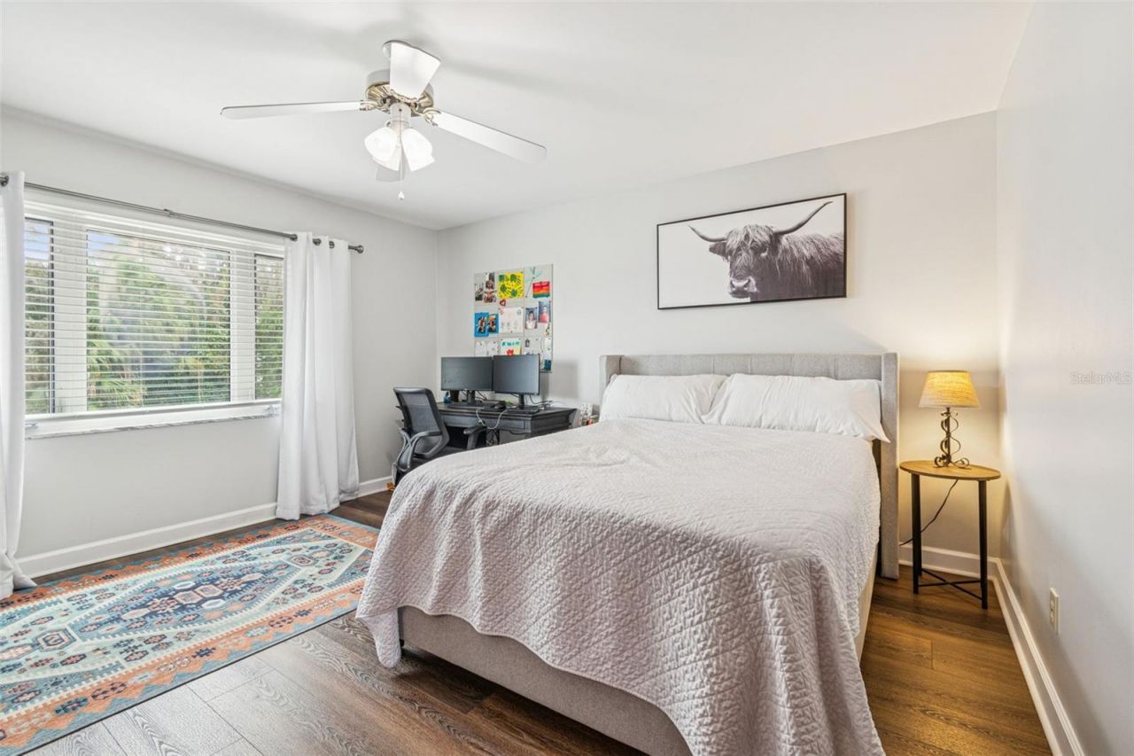 11713 Phoenix Circle, Tampa, FL 33618 Photo