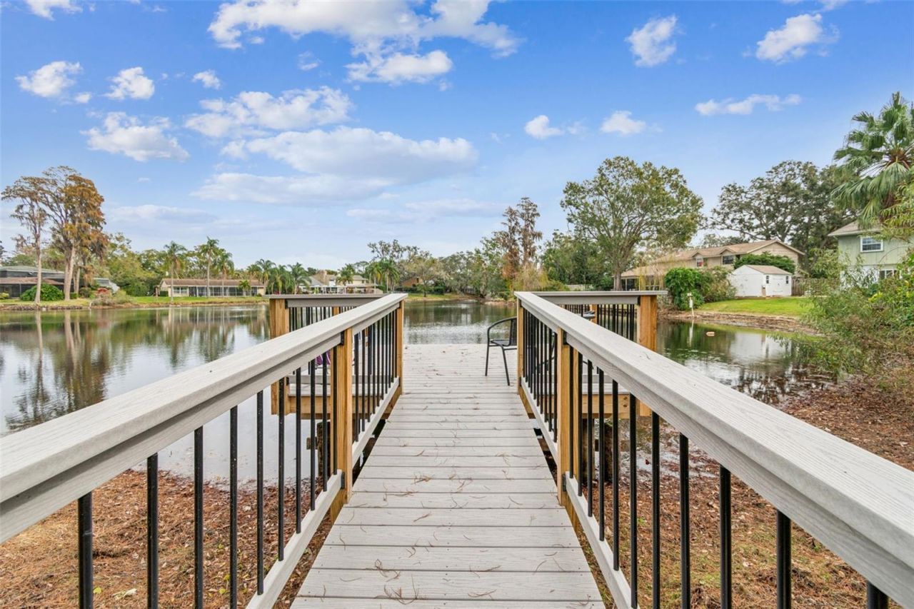 11713 Phoenix Circle, Tampa, FL 33618 Photo